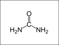 Мочевина как один из основных компонентов пота, химическая формула